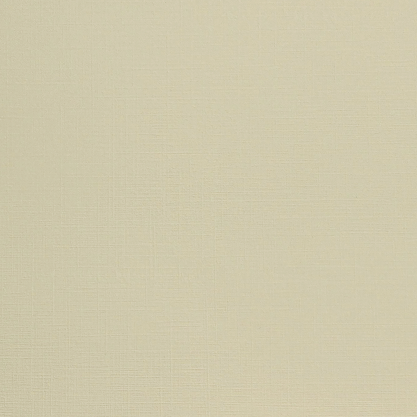 레자크 91 연미색